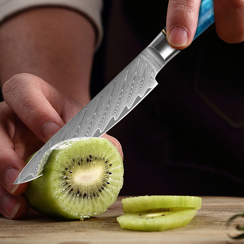 5인치 다마스커스강 일본 전문 셰프 나이프 주방 야채  - Japanese Knife 리뷰 및 가격
